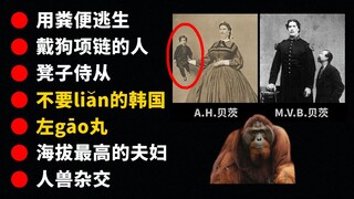 【另类】奇 怪 的 知 识 一 箩 筐 ！