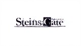 Review Steins;gate