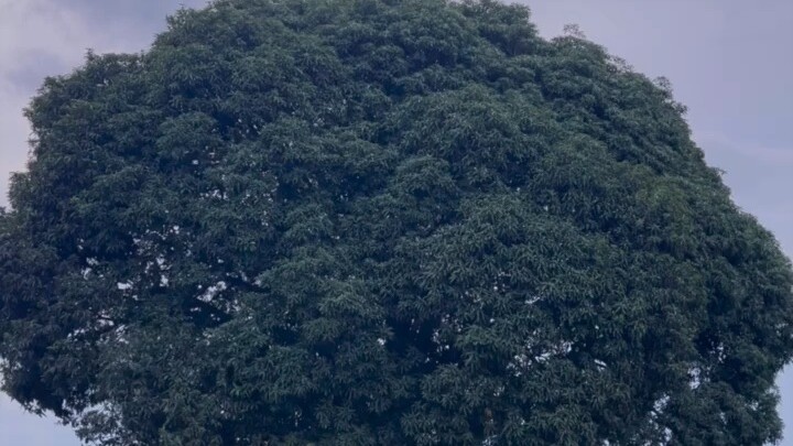 行囊羞涩都无恨，难得夫妻是少年，多么的美好笑着看到底 爱的纯粹、爱的清澈.