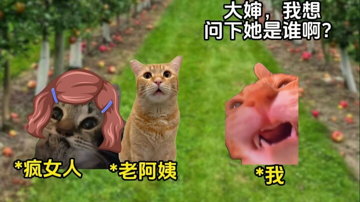 Xem bói mà vô tình phá luôn một vụ án? 11