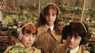 Hermione and her two babies