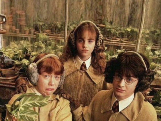Hermione dan kedua bayinya