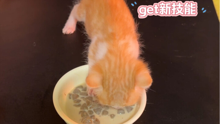 小鼻噶终于学会新技能啦！