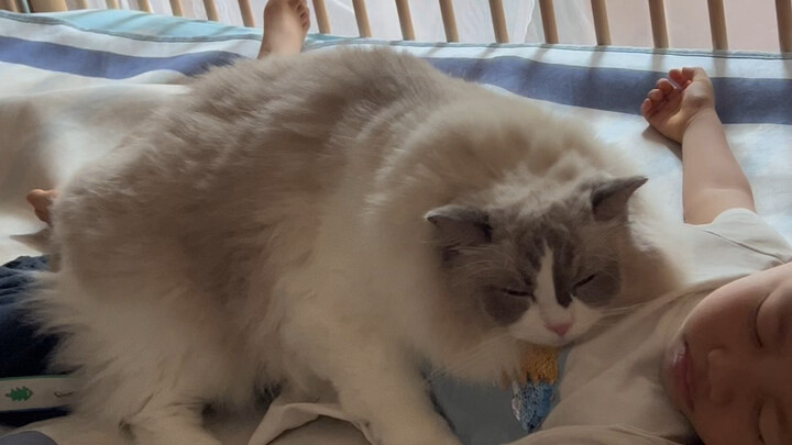 My due date came and went, but labor just wouldn't start—little did I know, my cat would lend me a h