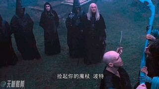 哈利和伏地魔到底谁才是最强魔法玩家 #哈利波特  #超燃  #无憾剪辑