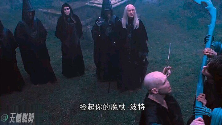 哈利和伏地魔到底谁才是最强魔法玩家 #哈利波特  #超燃  #无憾剪辑