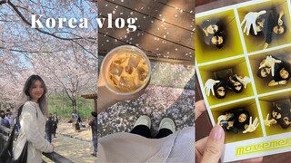 Korea vlog 🌸 - Where to go to see cherry blossoms, cool photobooth pics #koreavlogs #seoul