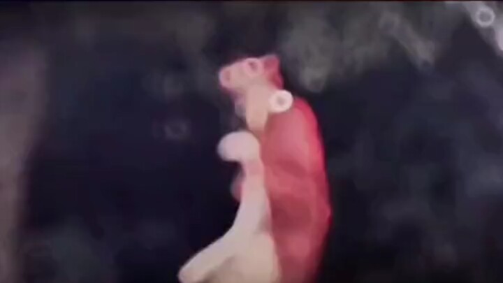 “ฉากจบ MVP ของการลุย 81 ด่านแบบเดี่ยวให้เสร็จเร็วที่สุด”