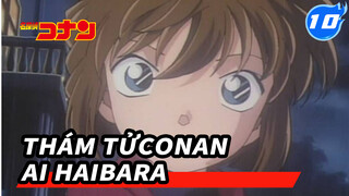 Haibara Ai Xuất Hiện Trong Bản TV (Update đến ep 341) | Thám tử Conan_10