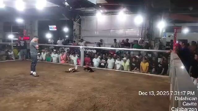 another buyers update ‼️ 3hits champion ‼️ first fight win Wala side