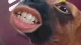 Hahahahaha, chịu không nổi nữa rồi. Xem lại đi.