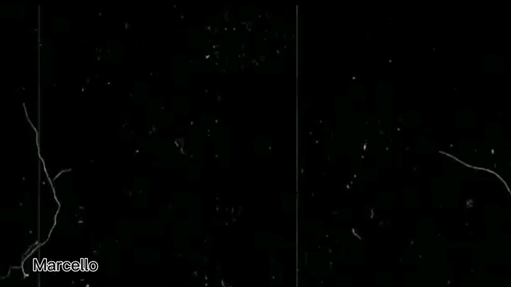 weathering with you edit