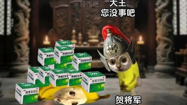 《米粒传送》第八集