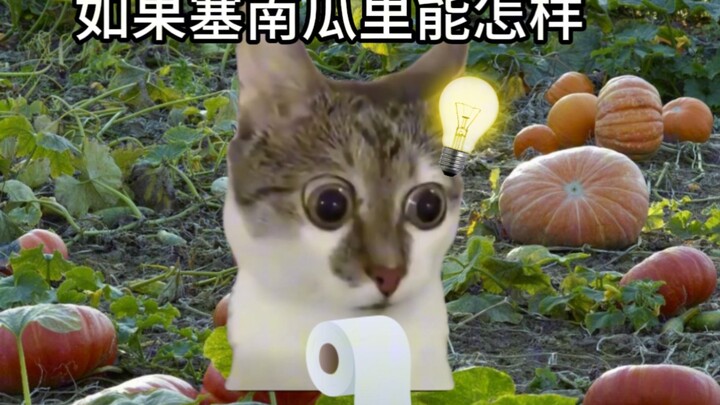 Những điều vô lý mà tôi đã làm ở nhà ông nội khi tôi còn nhỏ