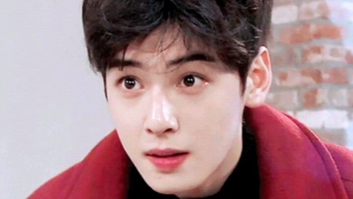 เป็นที่รู้กันดีว่า บุคลิกตามราศีก็คือบุคลิกตามราศี ชาอึนอูก็คือชาอึนอู/ไม่มีใครจะไม่ใจเต้นได้! ไม่มี
