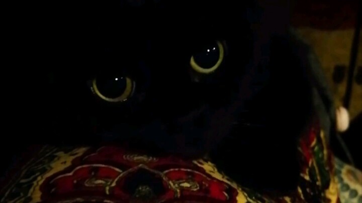 2019 Terima kasih kepada para penggemar saya! 2020 kita berangkat lagi bersama! Saya akan membuat vi