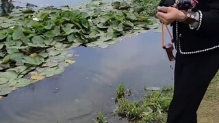 捞两个瓶子，换个糖