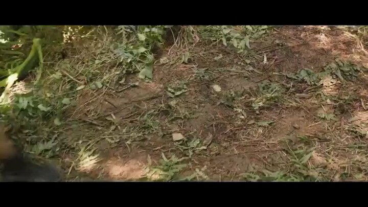 Mysterious Love eps 5 sub indo