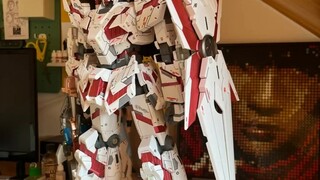 Tinjauan komprehensif seri PG model Taipan