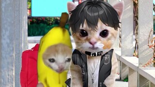 Banana Cat gets bullied by the school bully doll and, summoning courage, issues a fierce threat.