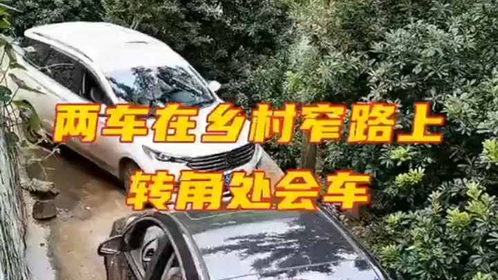 Pro Driver on the Road