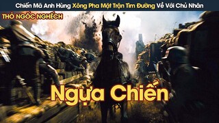 [Review Phim] Chiến Mã Anh Hùng Xông Pha Mặt Trận Tìm Đường Về Với Chủ Nhân