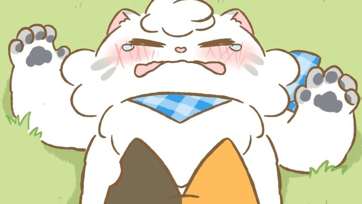 เมื่อนางเงือกได้พบกับคนรักในฝัน ตอนจบจะมีความสุขไหม?