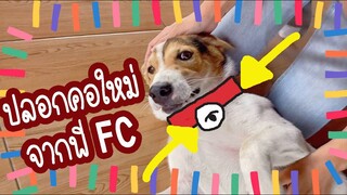 โลกของแสนดี ตอน เห่อปลอกคอใหม่