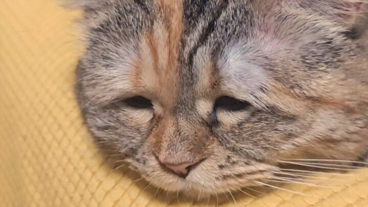 ไม่เป็นไร เดี๋ยวไม่หิวแล้ว