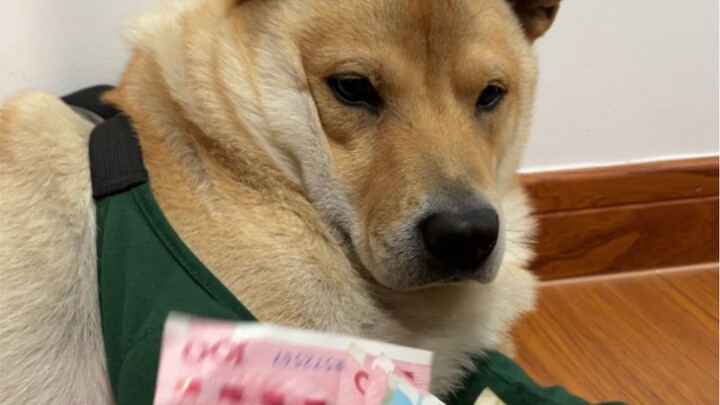 Year-end bonuses are being distributed!