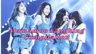 MAMAMOO LAUGHING COMPILATION