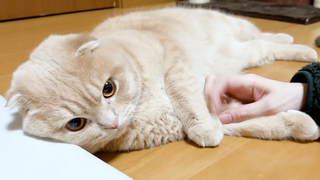 ไม่ได้เจอกันนานเลยนะ…