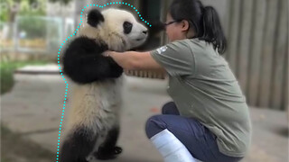 You think having a panda is all that?! Yeah, I do!