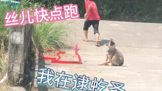 Tôi đang cài nút, bạn đang thả ra, chúng ta cùng loài