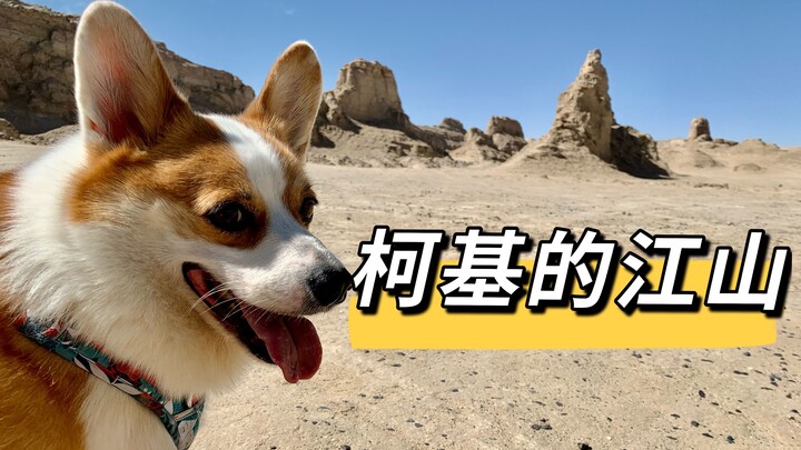 Keliling Tiongkok bersama anjing peliharaan, si Corgi berkaki pendek kembali menaklukkan gurun dan p