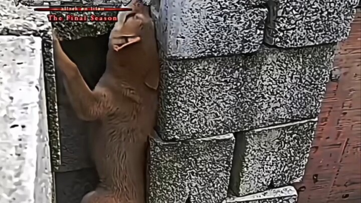 What's outside the wall?