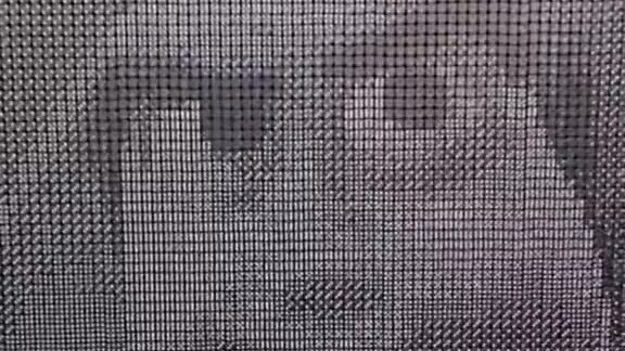 สร้างภาพด้วยลูกเต๋าขาวดำ