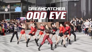 【随唱团】包邮区 | Odd Eye - DREAMCATCHER 随唱谁跳南京站路演