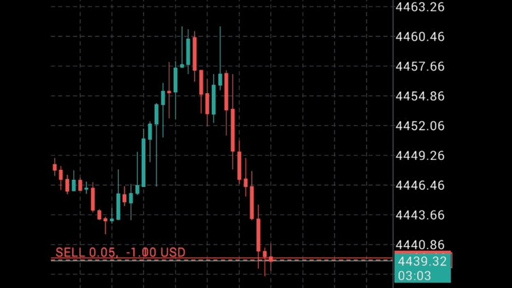 Trading Videos In Forex Market. Daily Scalping Trading Videos. Trading Shorts videos. #交易 #外汇交易