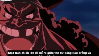 TẤT TẦN TẬT VỀ TỨ HOÀNG RÂU ĐEN p5
