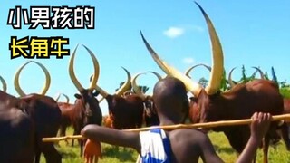 那些让人惊叹的动物视频！