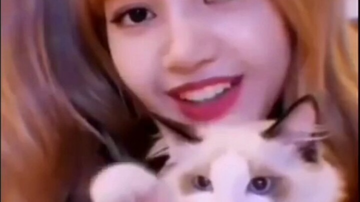 الفرق بين تربية القطة والكلب عند شياو وو ليزا