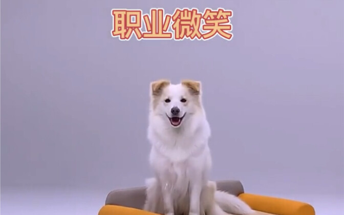 Sehari Seorang Model Profesional