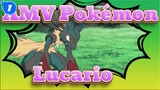 Pokémon /
Lucario Tingkat Dewa - AMV - Pokemon - 4k_1