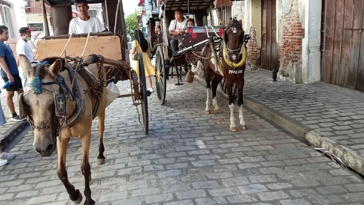 kalesa/calesa is a two-wheeled horse-drawn carriage used in the Philippines as public transportation