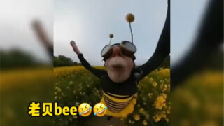 等我老了也要这样！哈哈哈哈哈可爱的蜜蜂爷爷！！
