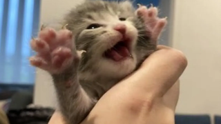 มีม 10 นาทีสำหรับช่วงพักสั้นๆ ของคุณ )