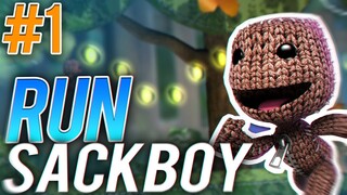 Run Sackboy! Run! Part 1