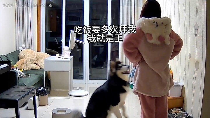 Ra ngoài làm trâu ngựa, về nhà làm vua chó!