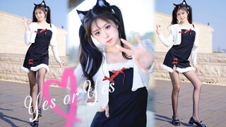 【4K竖屏】这个元气猫耳妹我能吹一辈子！